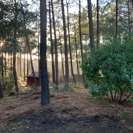 Agreable T2 Lisiere Du Golf Ocean