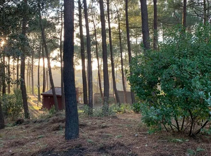 Agreable T2 Lisiere Du Golf Ocean